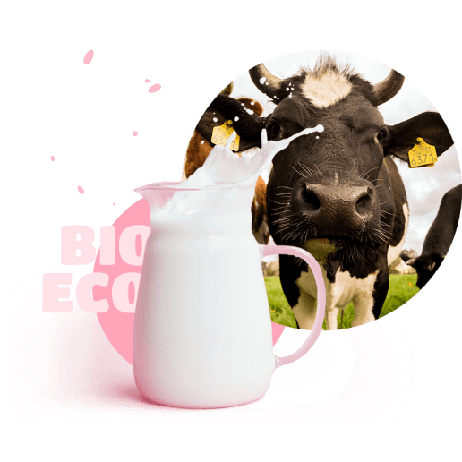 cow and pitcher with milk